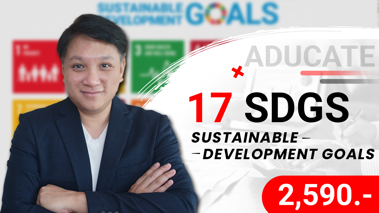 Sustainable Development Goals (17 SDGs)